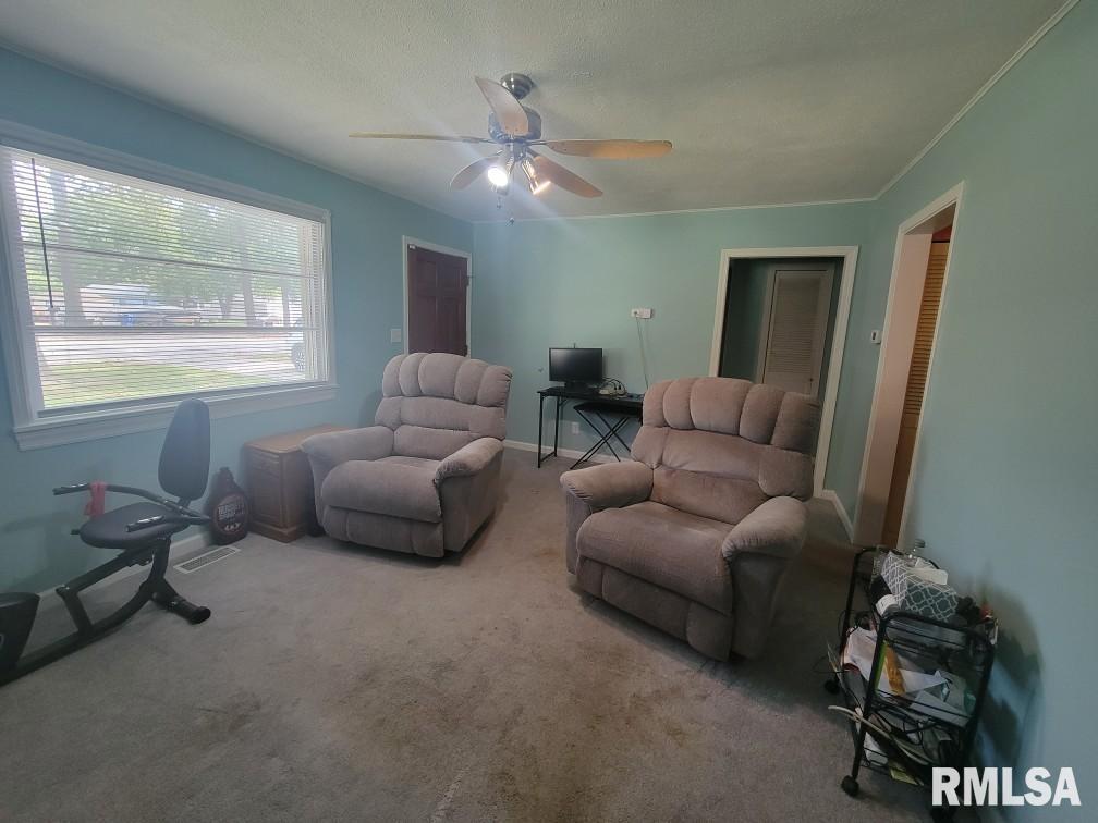 3321 Rita Avenue Springfield, IL 62703 - Photo 10 of 29