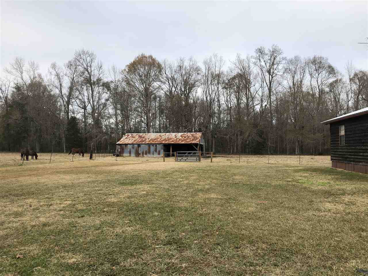 7421 Clifton Road Forest, MS 39074 - Photo 10 of 12 Photo 10