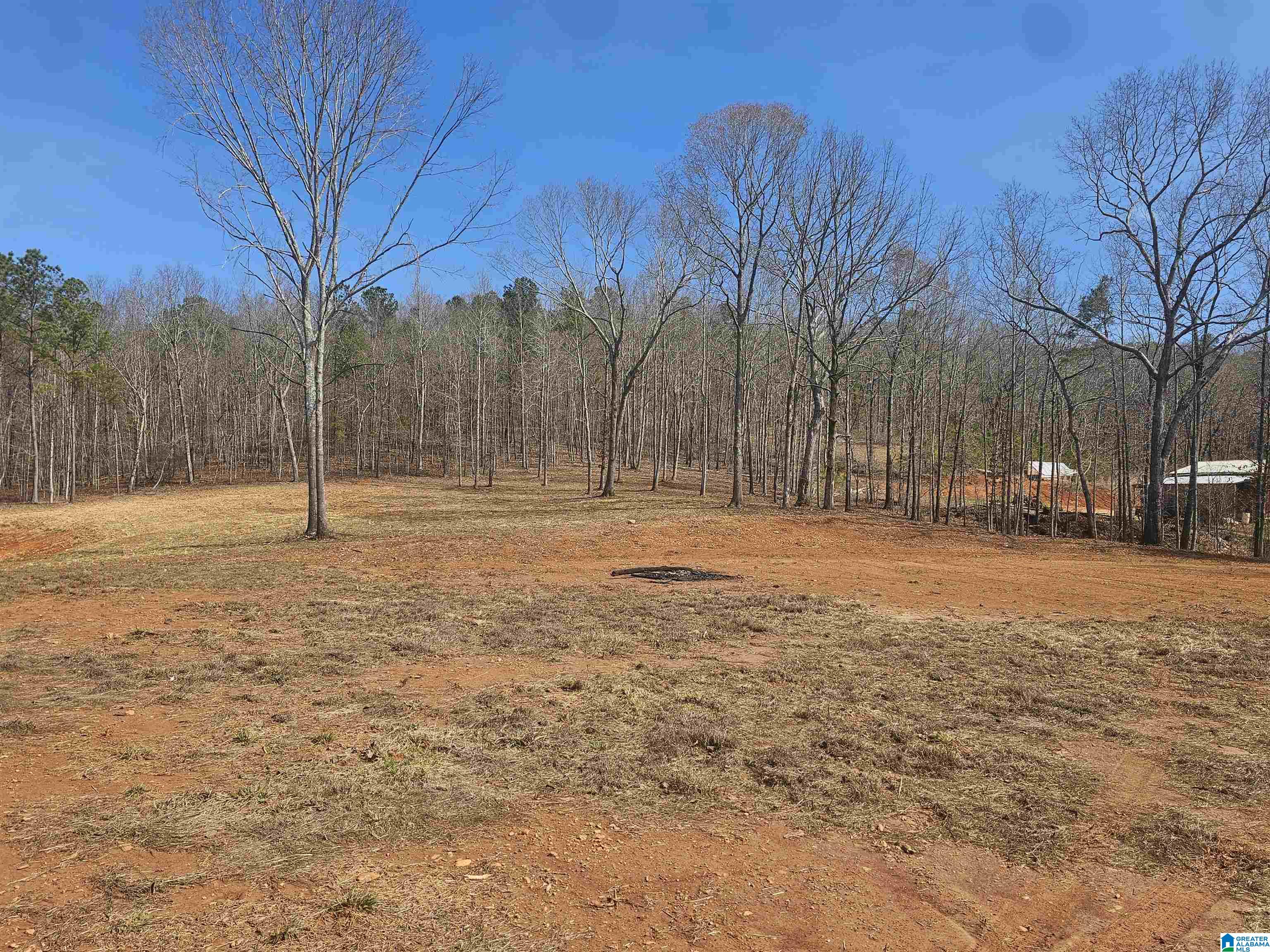 8235 County Road 10 Ranburne, AL 36273 - Photo 11 of 16