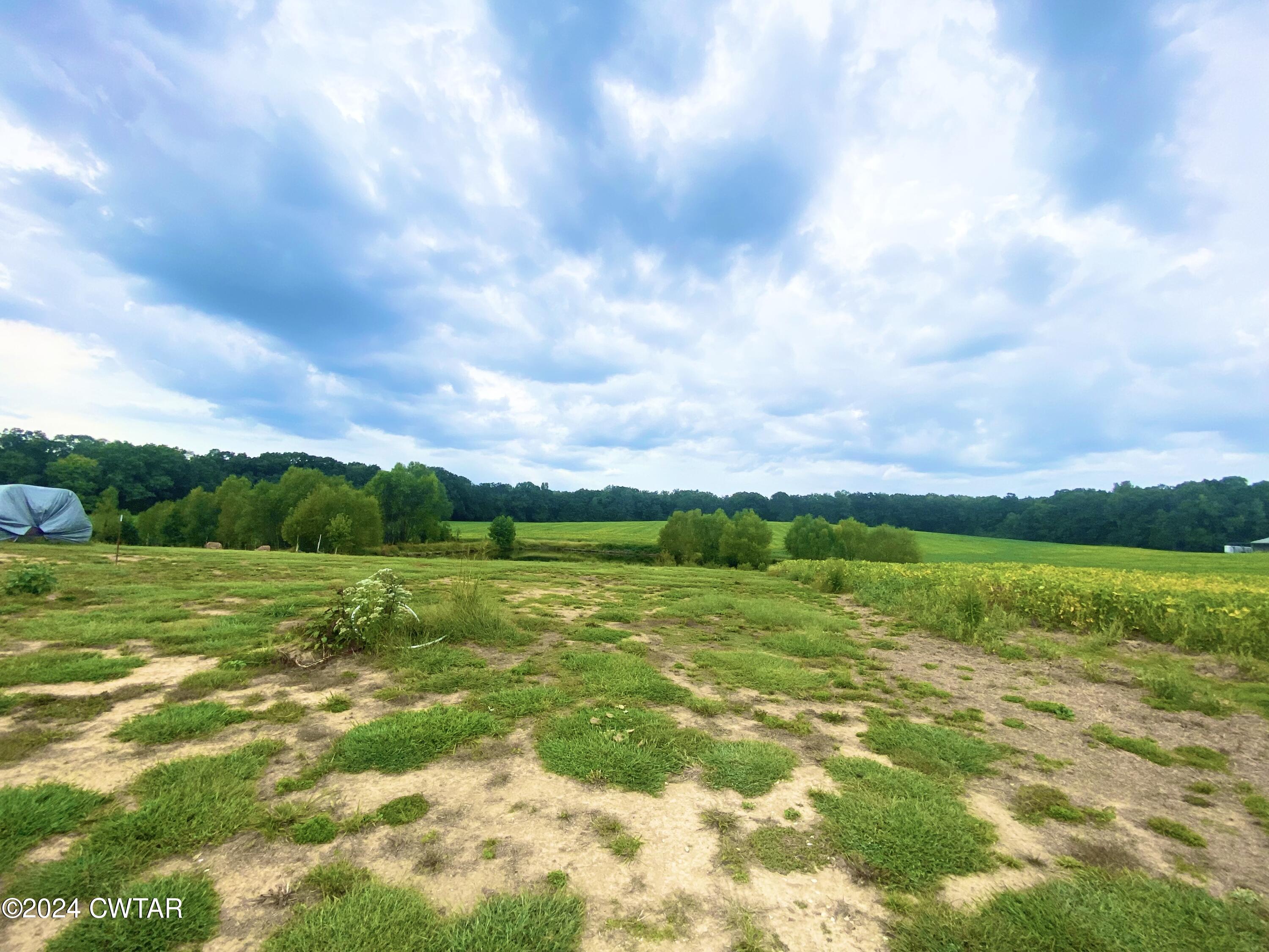 4474 Flatwoods Road Camden, TN 38320 - Photo 12 of 18 a view of an ocean from a yard