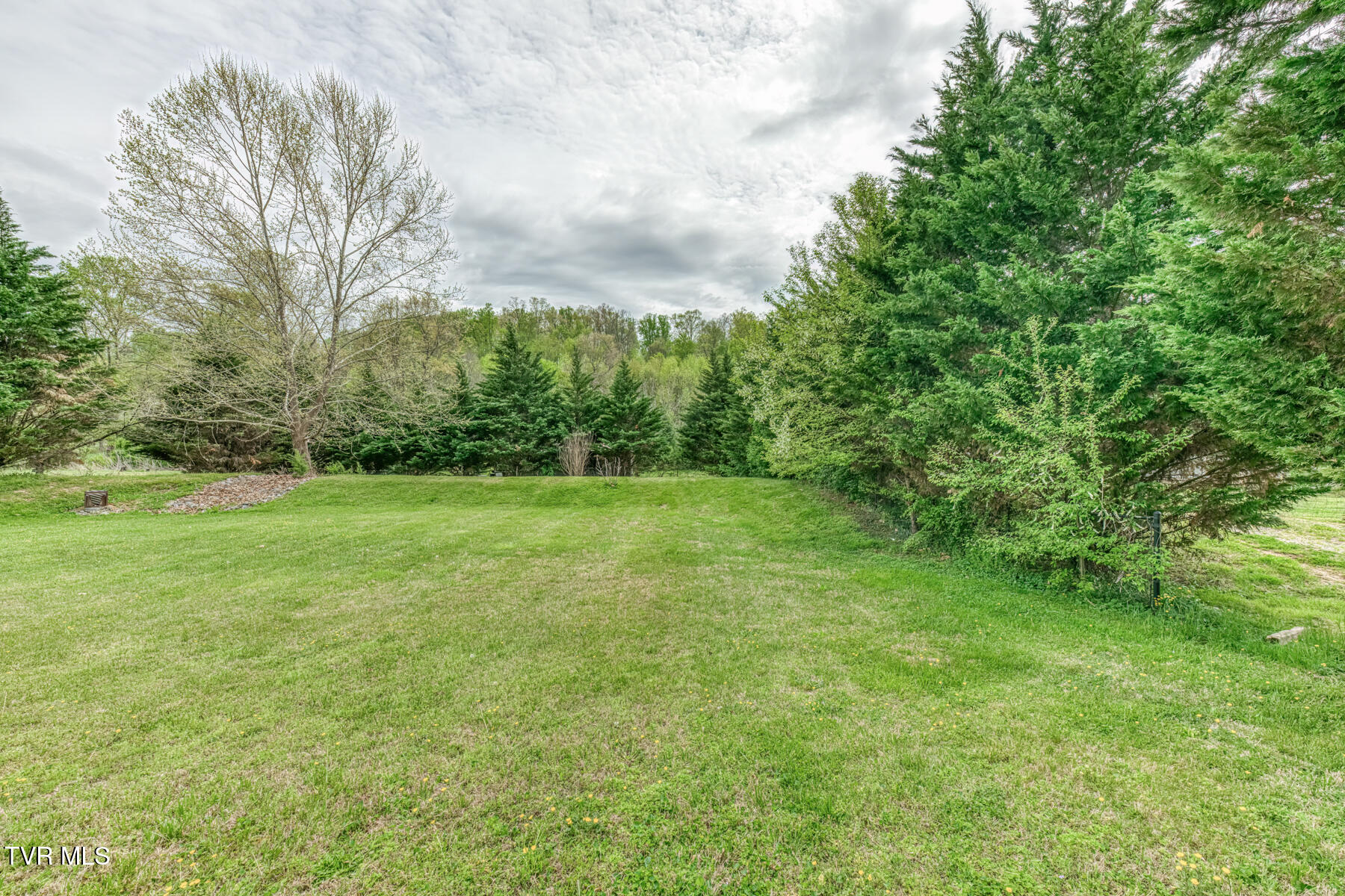 153 Hunters Run Lane Mount Carmel, TN 37645 - Photo 34 of 36 153 Hunters Run Ln-34