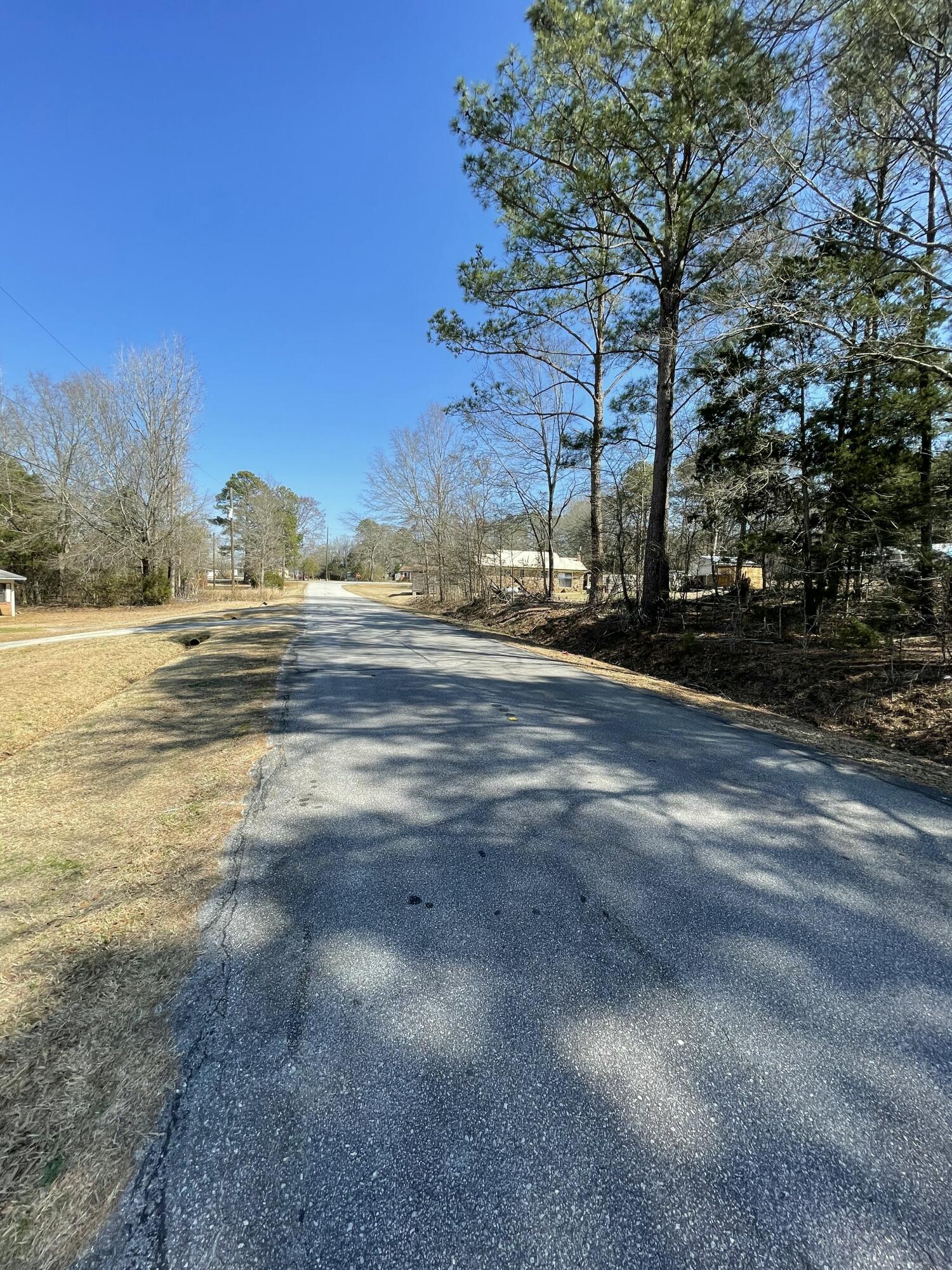 0 Westside Drive McCormick, SC 29835 - Photo 6 of 10