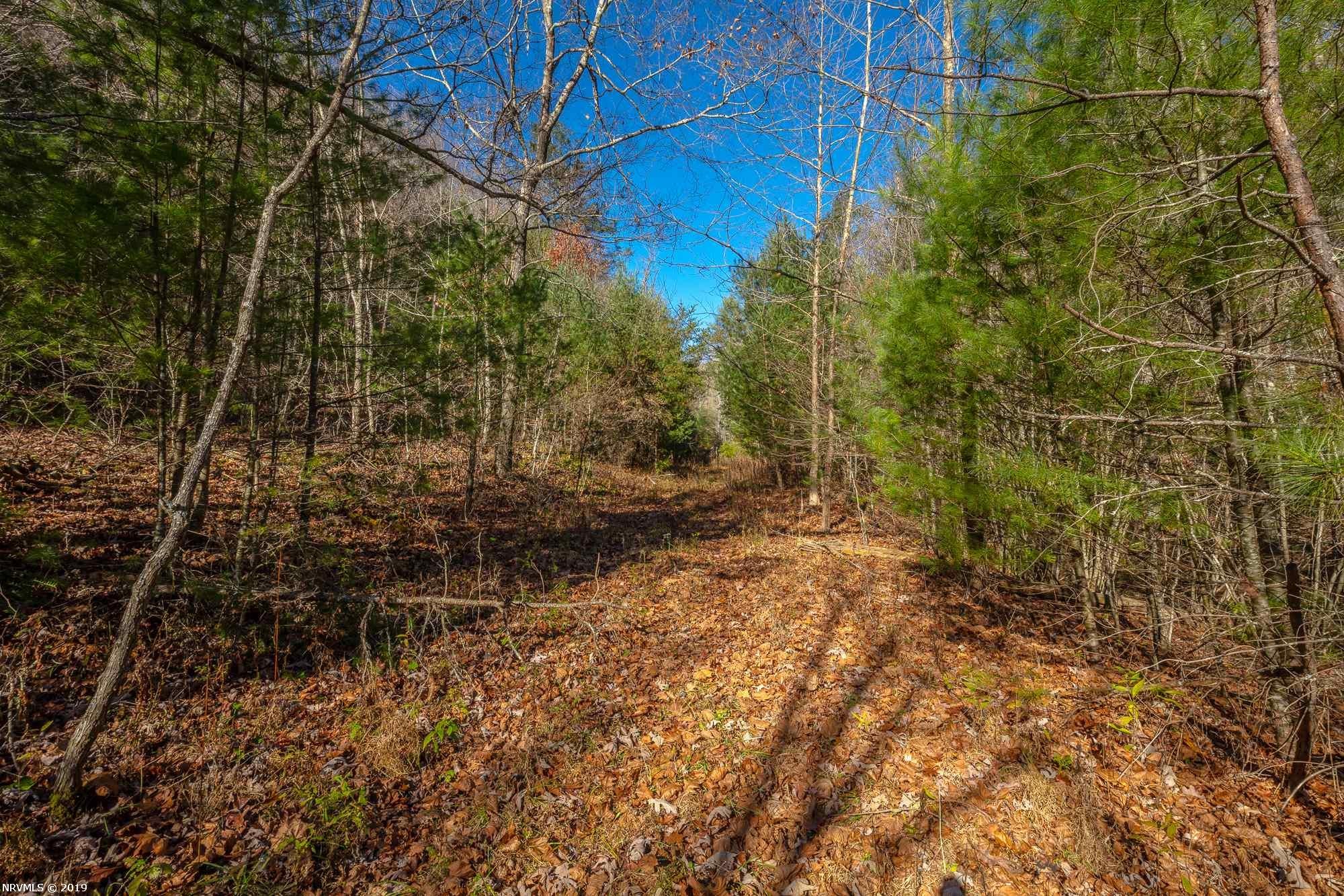 Tbd Mudlick Road Wytheville, VA 24382 - Photo 16 of 44 Gallery Image 16