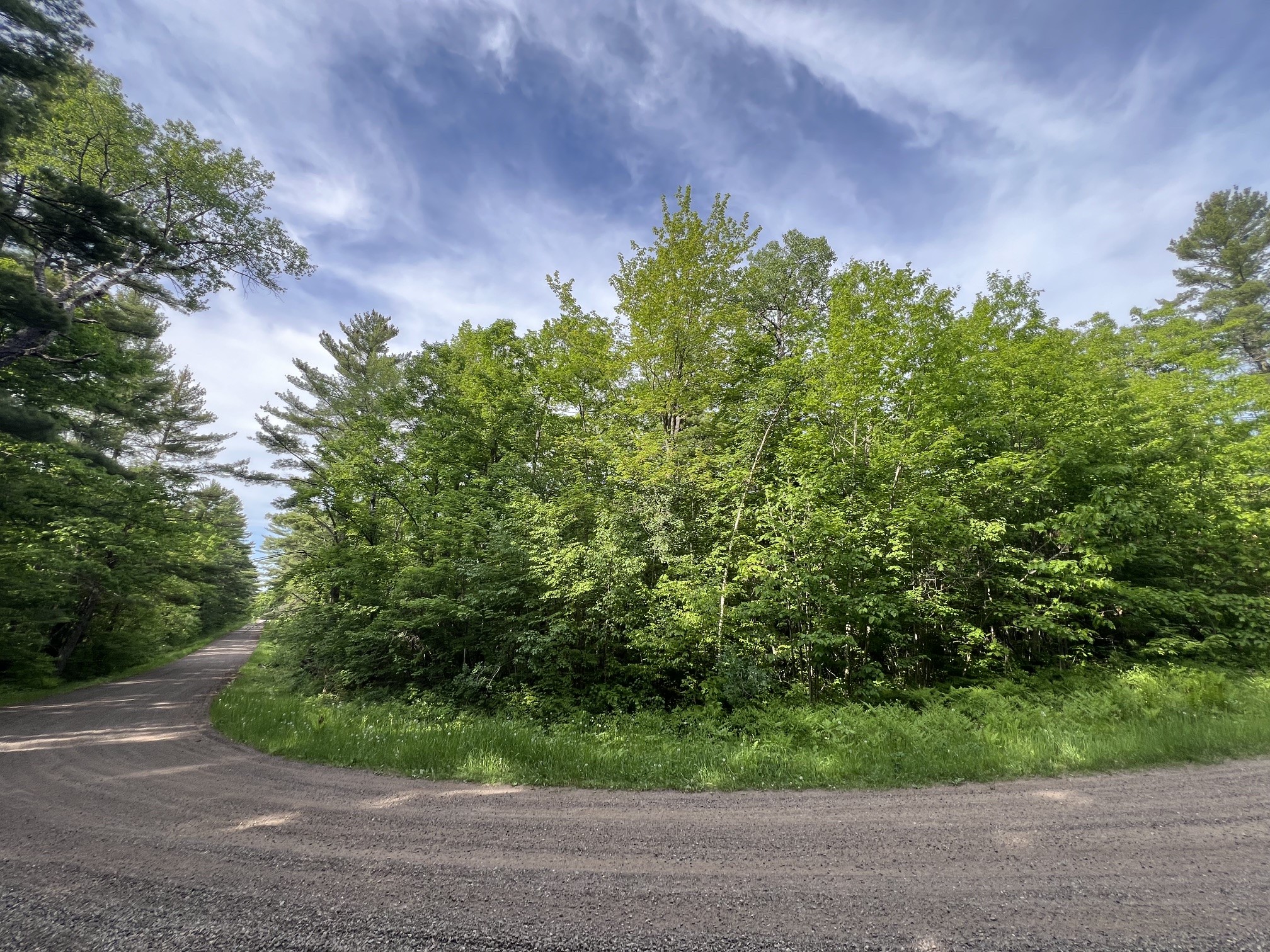 Tbd North Smith Road Couderay, WI 54828 - Photo 6 of 22
