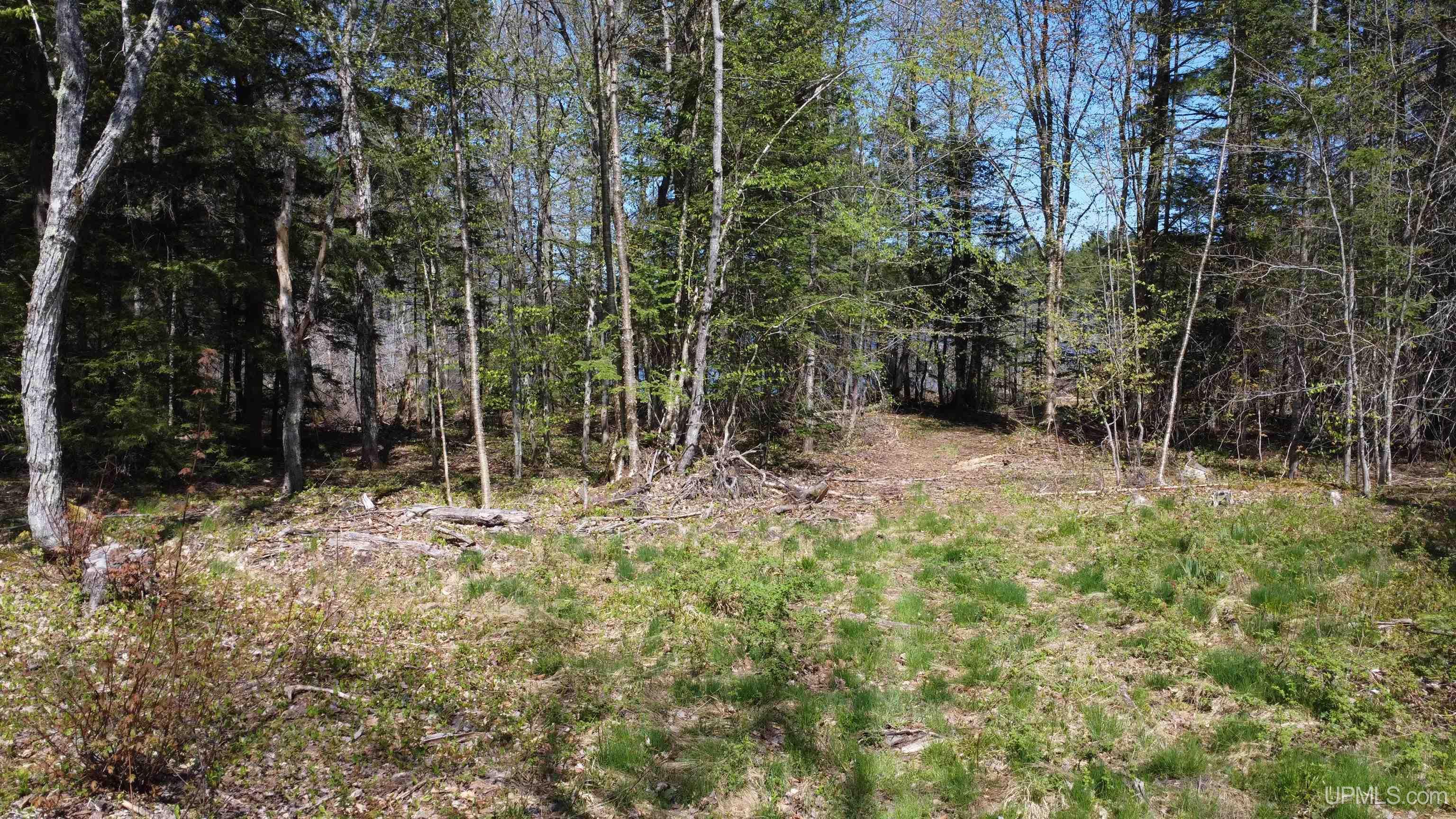 Off Adams Trail Shingleton, MI 49884 - Photo 39 of 46