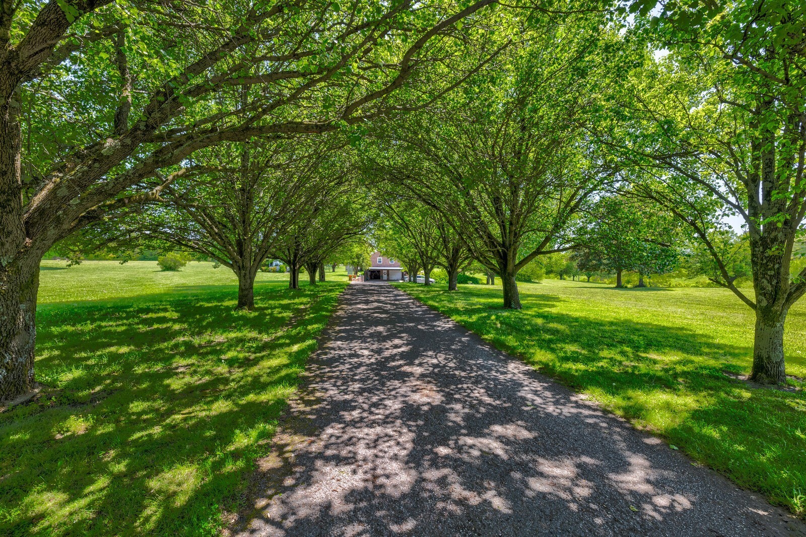 7486 Deer Ridge Road Primm Springs, TN 38476 - Photo 3 of 69 a view of green field with trees