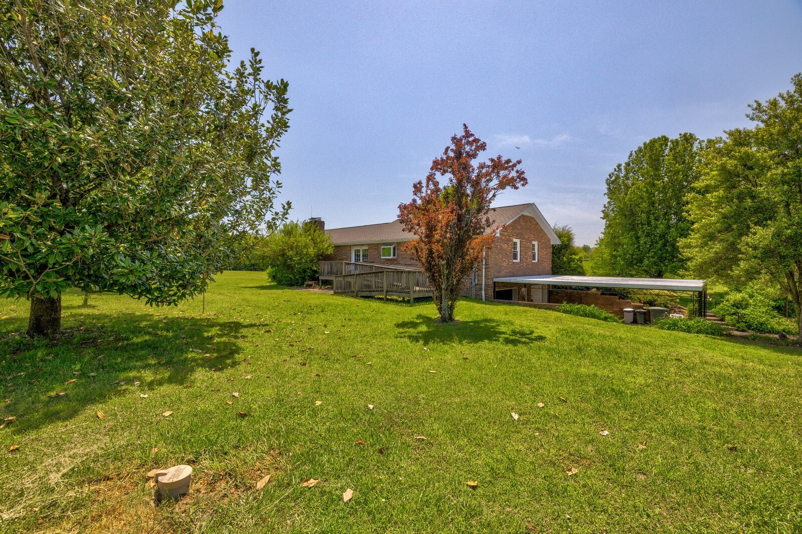 7486 Deer Ridge Road Primm Springs, TN 38476 - Photo 50 of 69 a view of a garden with a tree