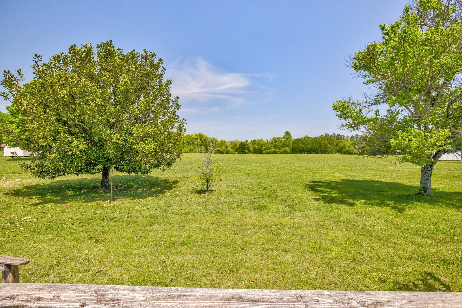 7486 Deer Ridge Road Primm Springs, TN 38476 - Photo 53 of 69 a backyard of a house with lots of green space