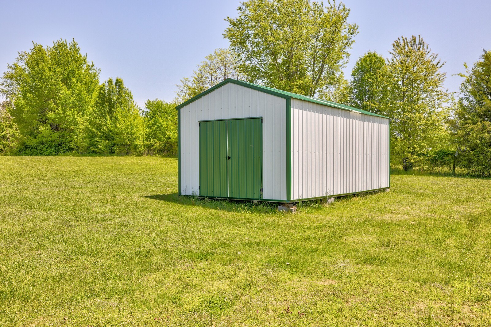 7486 Deer Ridge Road Primm Springs, TN 38476 - Photo 54 of 69 a view of an house with backyard space and tree