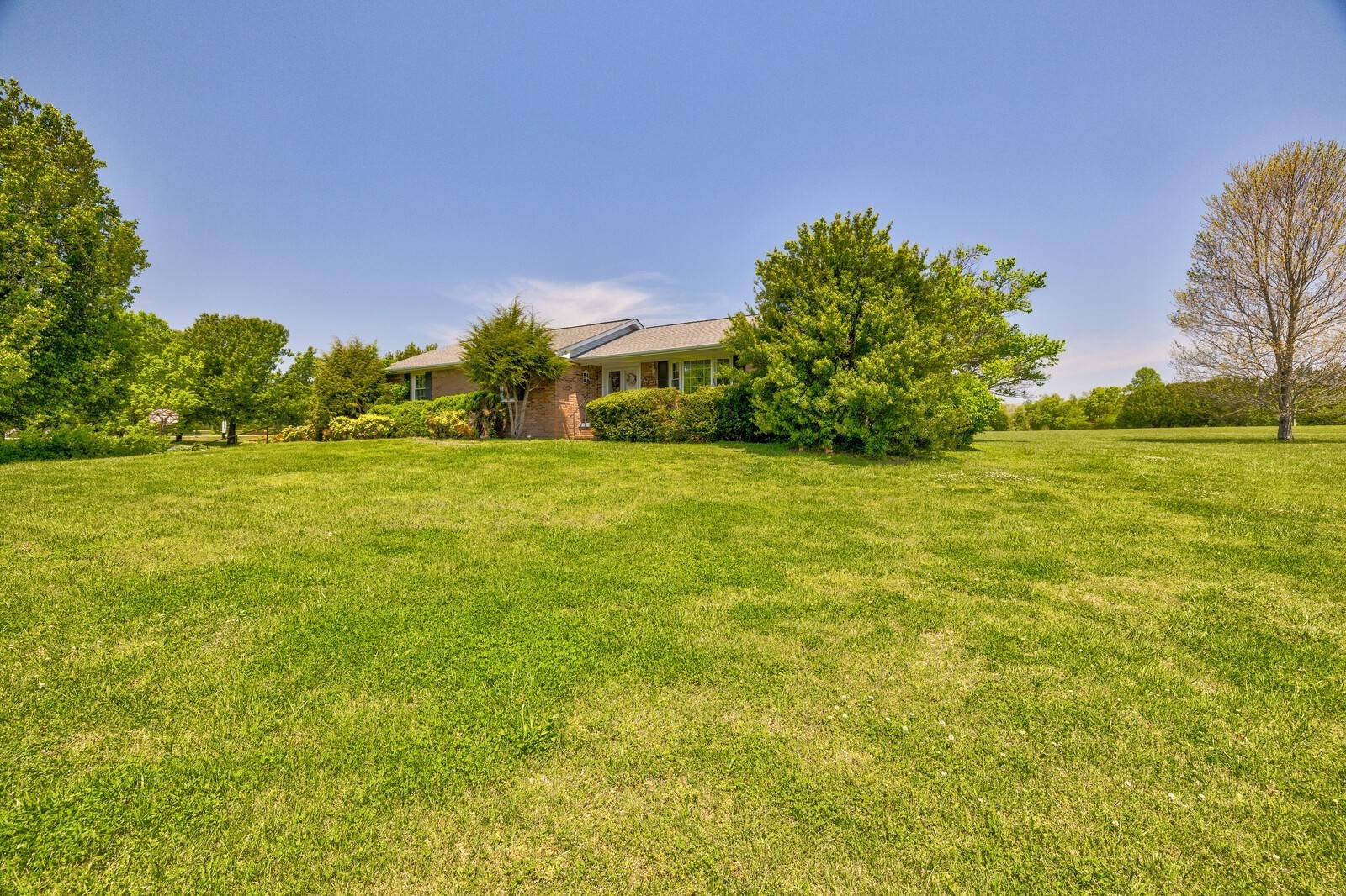 7486 Deer Ridge Road Primm Springs, TN 38476 - Photo 6 of 69