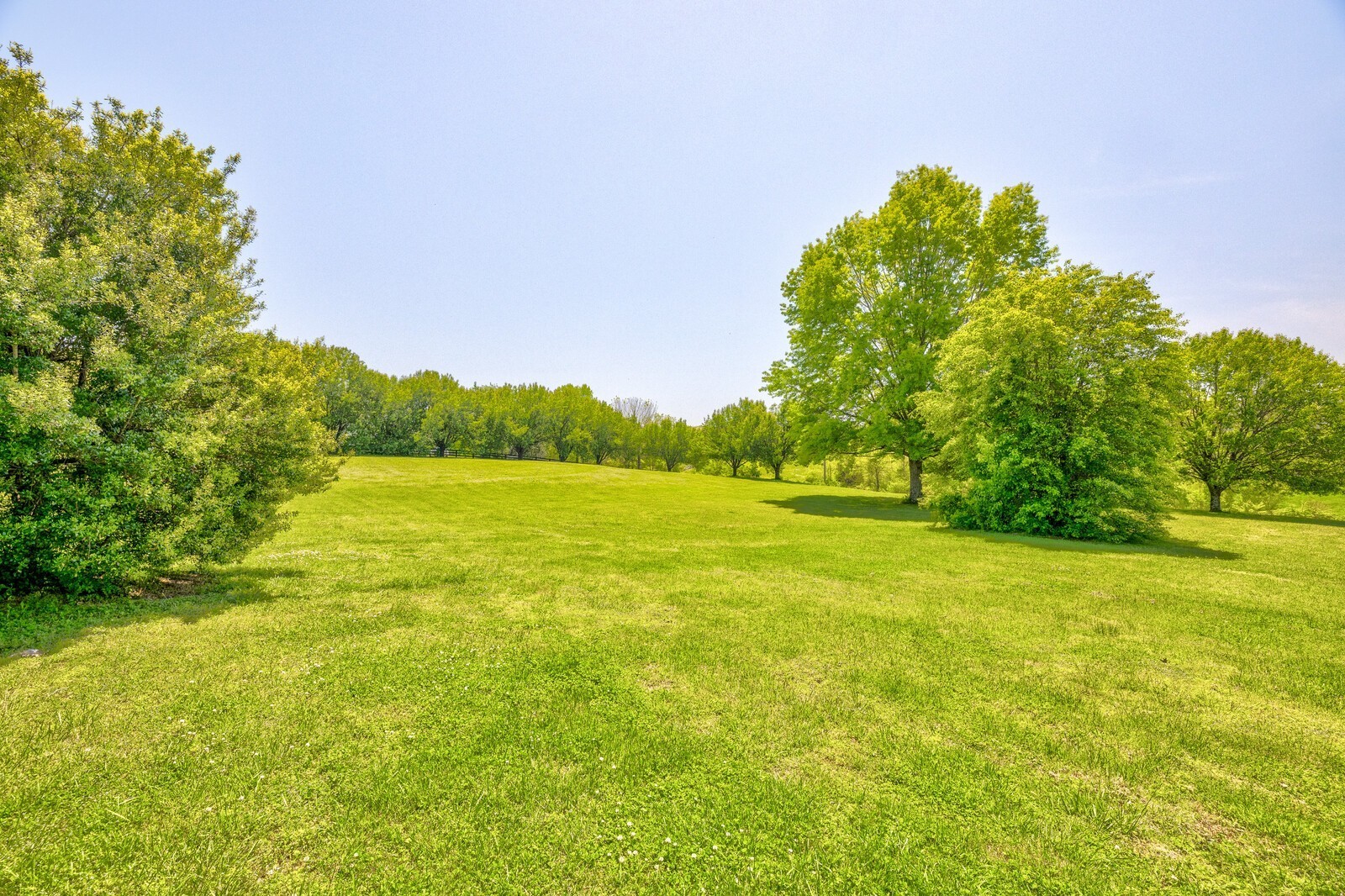 7486 Deer Ridge Road Primm Springs, TN 38476 - Photo 10 of 69 a view of an ocean from a yard