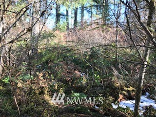 0 West Buck Prairie Road West Elma, WA 98541 - Photo 1 of 3 Gallery Image 1