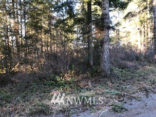 0 West Buck Prairie Road West Elma, WA 98541 - Photo 2 of 3 Gallery Image 2