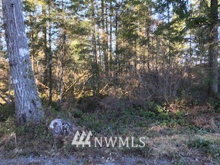 0 West Buck Prairie Road West Elma, WA 98541 - Photo 3 of 3 Gallery Image 3