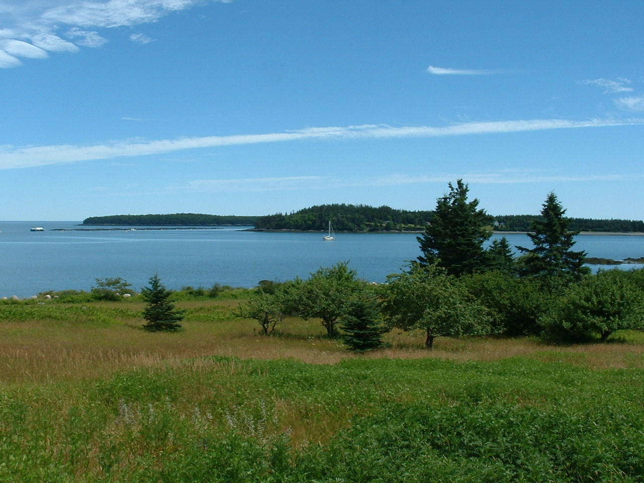 1755 Port Road Machiasport, ME 04655 - Photo 30 of 35 Ocean View from Field