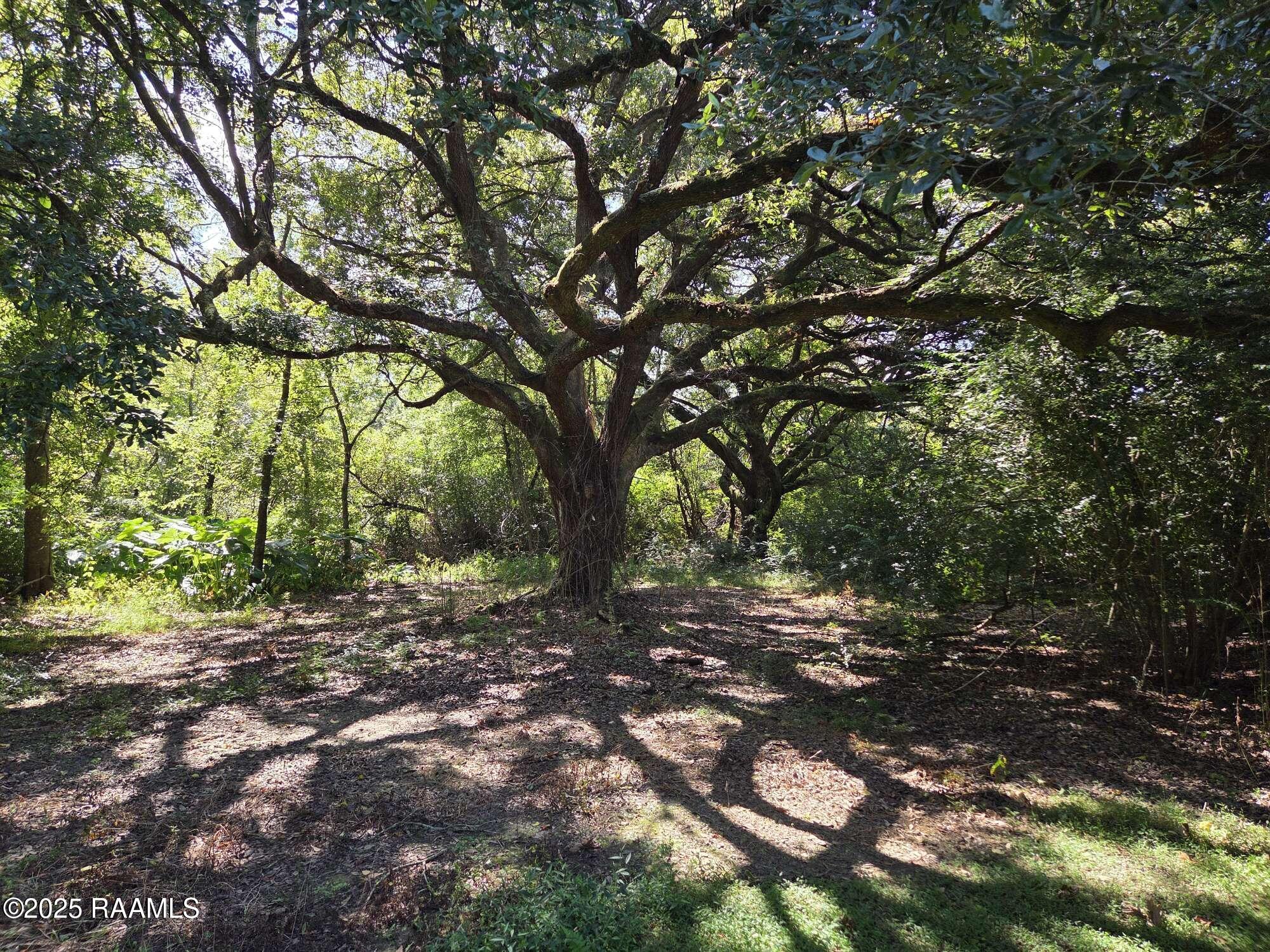 1335 South Bernard Road Broussard, LA 70592 - Photo 11 of 28 7