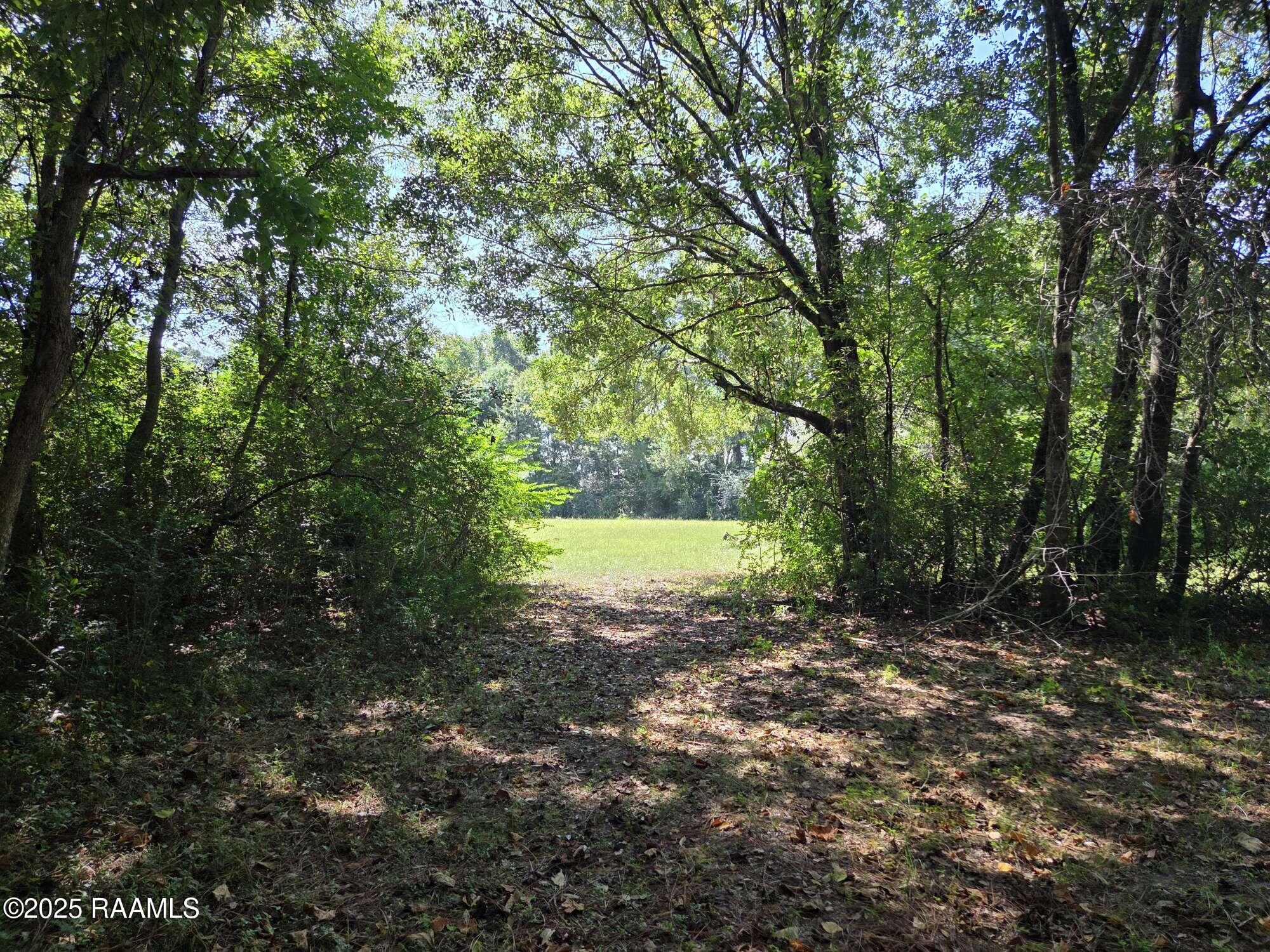 1335 South Bernard Road Broussard, LA 70592 - Photo 24 of 28 Compress_20250919_155208_8380