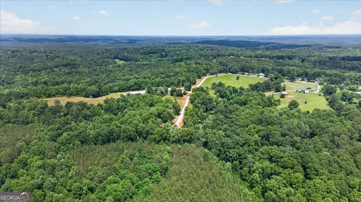 0 Conns Creek Road, Unit 2 Ball Ground, GA 30107 - Photo 2 of 57