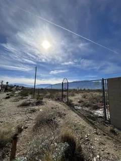 a view of a dry yard