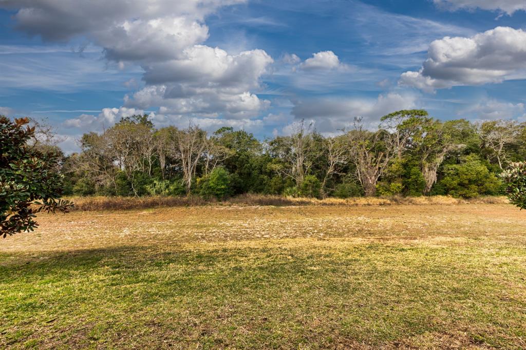 3161 Poppy Hill Road Mount Dora, FL 32757 - Photo 24 of 28