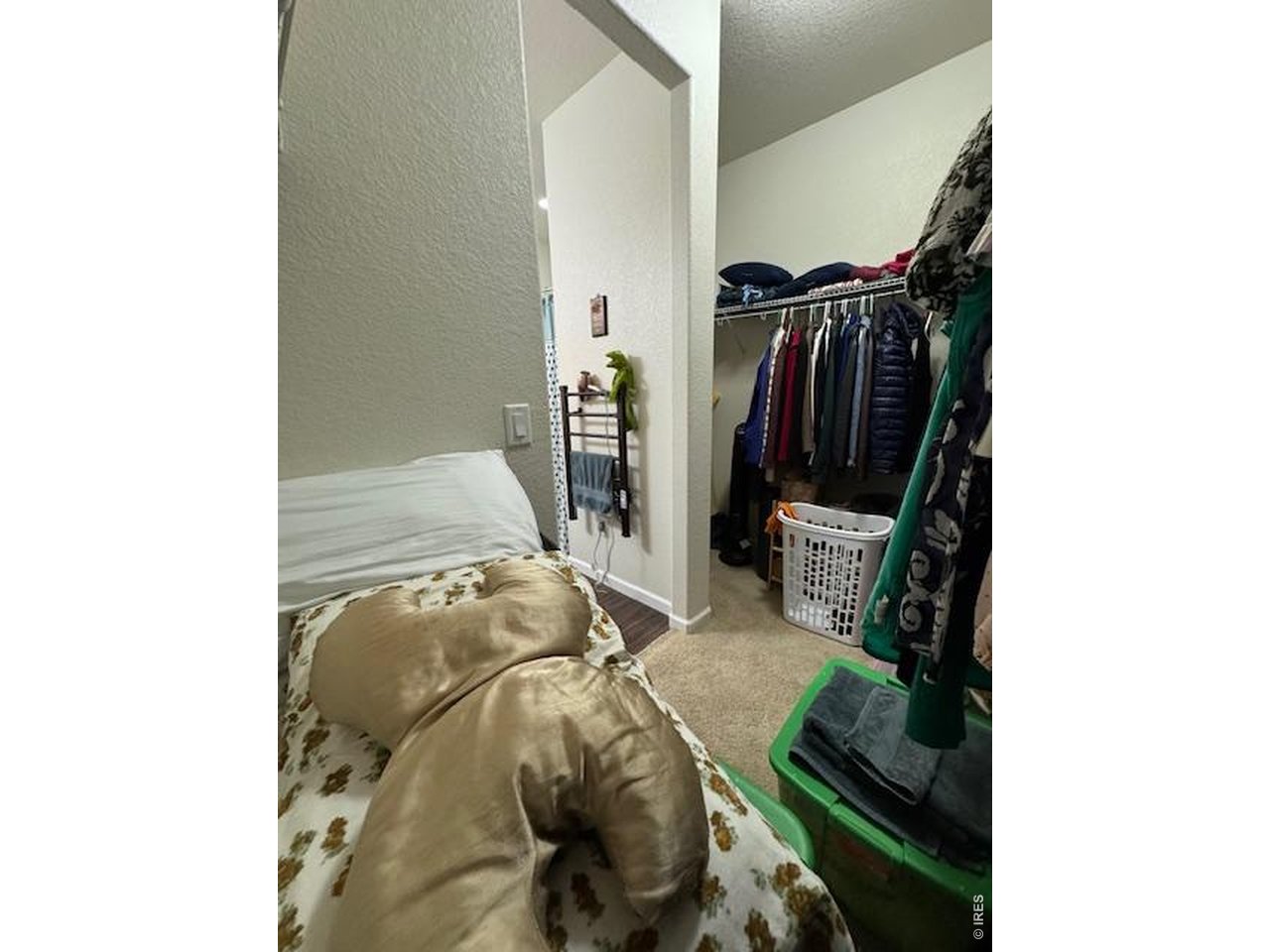 2865 Big Thunder Road Berthoud, CO 80513 - Photo 30 of 35 a view of walk in closet with clothes and shoes