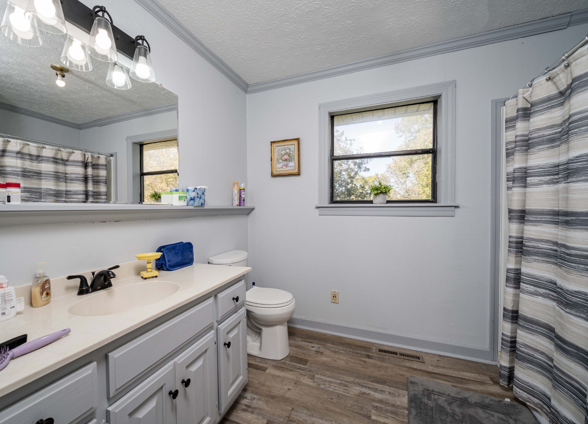 145 Crenshaw Road Bethpage, TN 37022 - Photo 13 of 44 a bathroom with a toilet sink and mirror