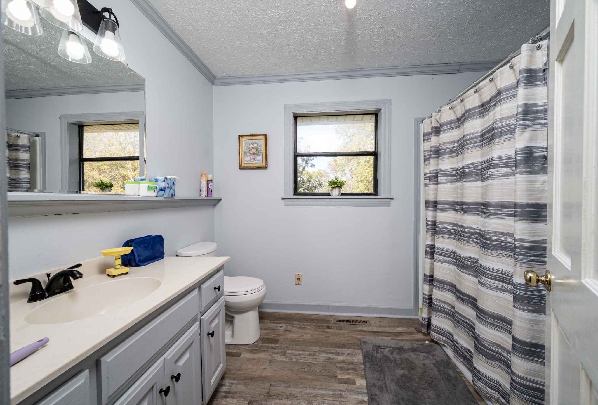 145 Crenshaw Road Bethpage, TN 37022 - Photo 14 of 44 a bathroom with a sink toilet and vanity