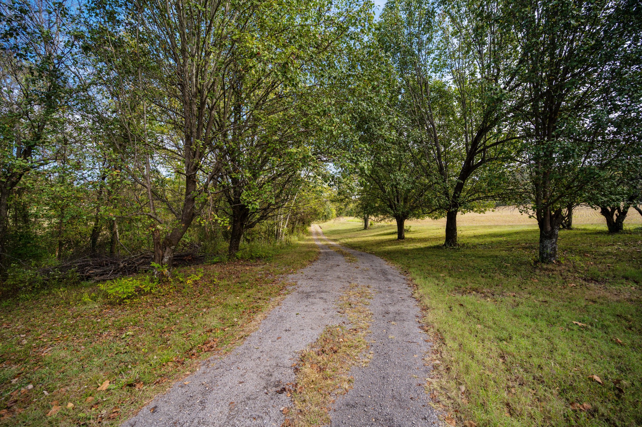 145 Crenshaw Road Bethpage, TN 37022 - Photo 28 of 44 a view of outdoor space with deck and trees