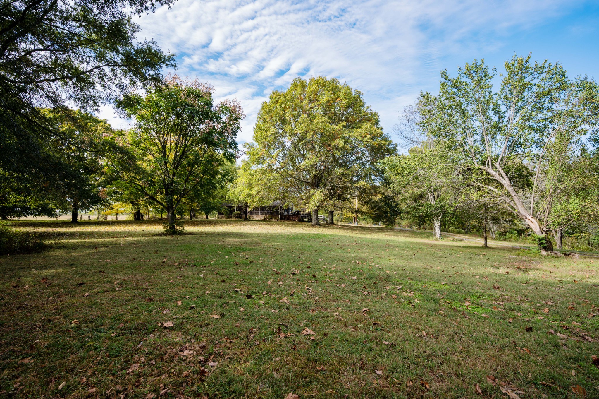145 Crenshaw Road Bethpage, TN 37022 - Photo 30 of 44 a view of grassy field with trees