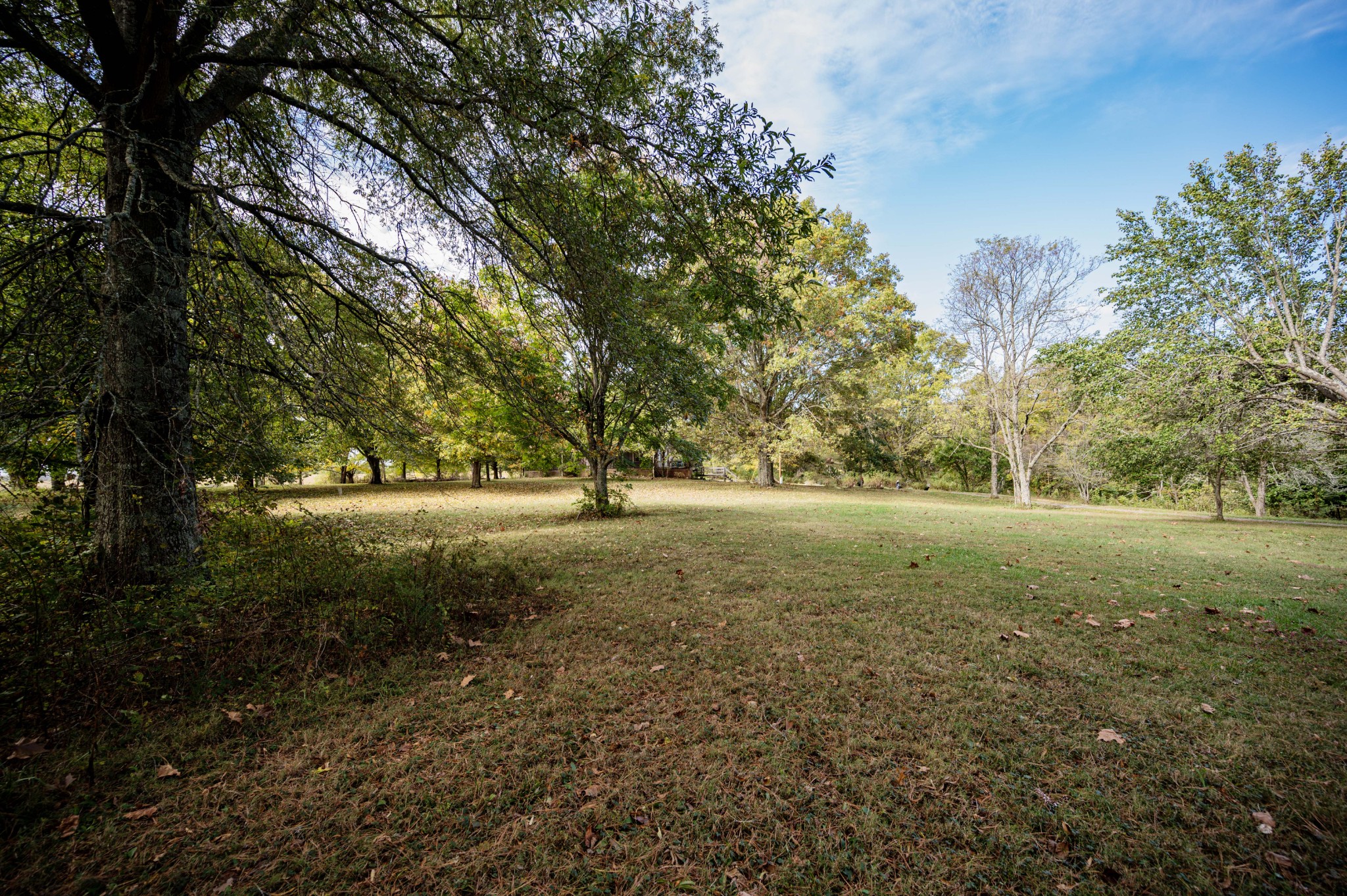 145 Crenshaw Road Bethpage, TN 37022 - Photo 31 of 44 a view of outdoor space with trees