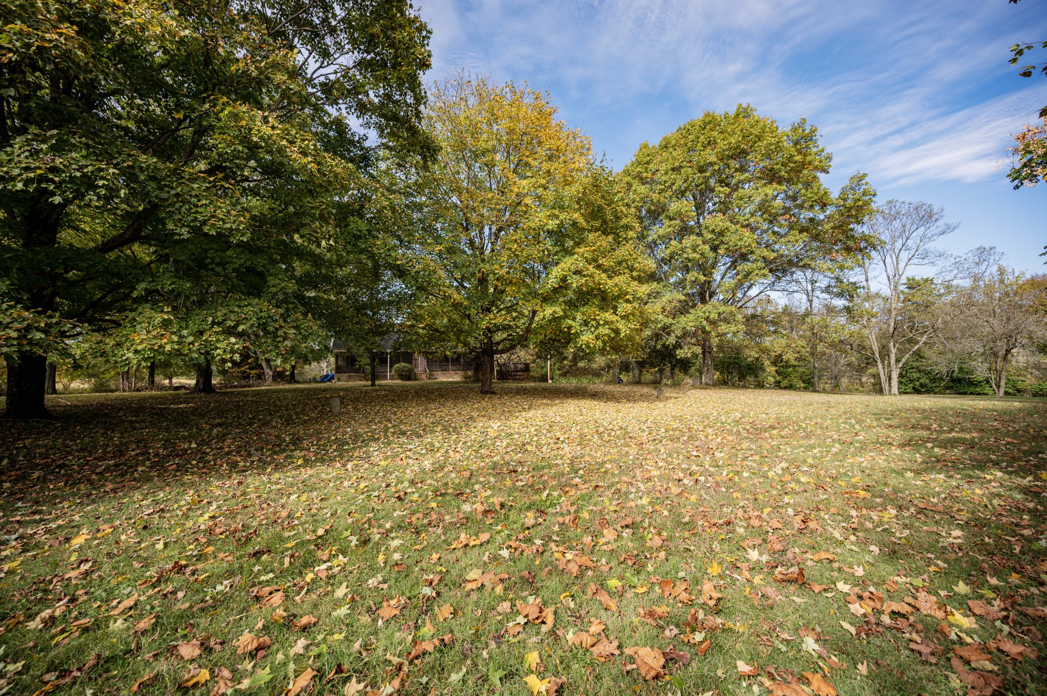 145 Crenshaw Road Bethpage, TN 37022 - Photo 32 of 44 a view of yard