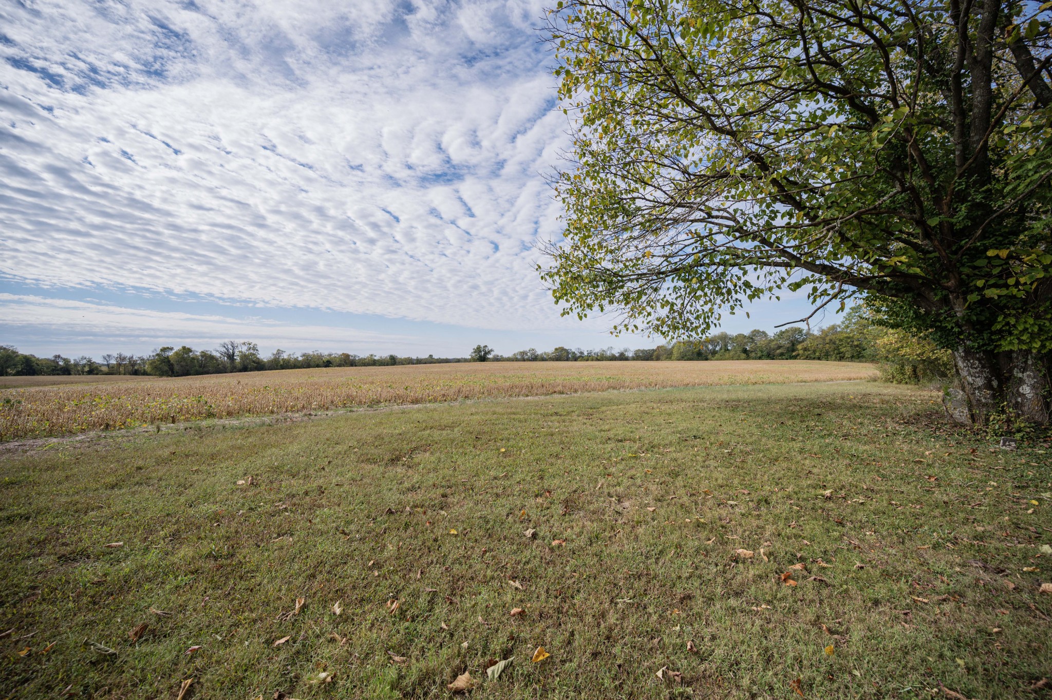 145 Crenshaw Road Bethpage, TN 37022 - Photo 34 of 44 a view of an ocean