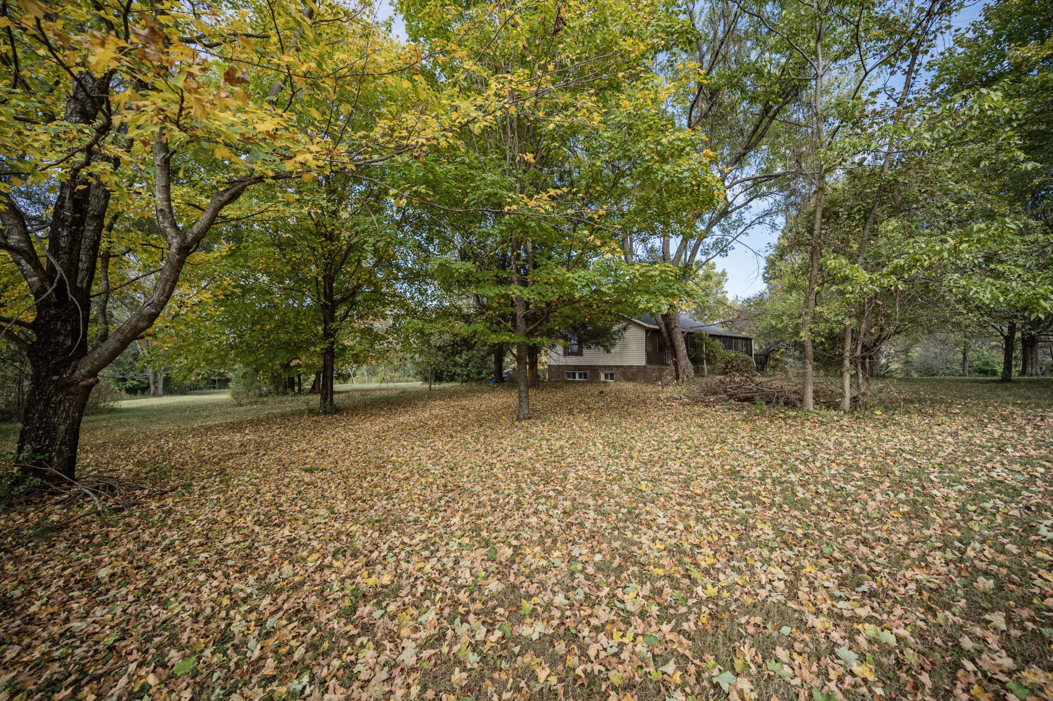 145 Crenshaw Road Bethpage, TN 37022 - Photo 35 of 44 a view of outdoor space with deck and trees