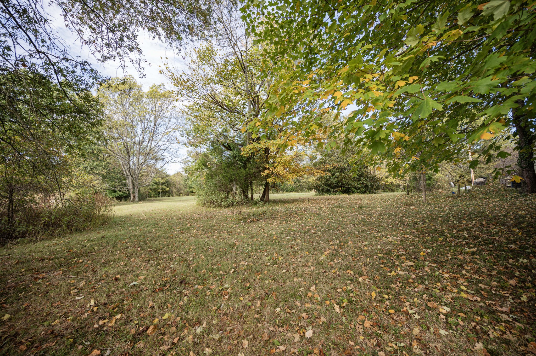 145 Crenshaw Road Bethpage, TN 37022 - Photo 36 of 44 a view of outdoor space with a garden