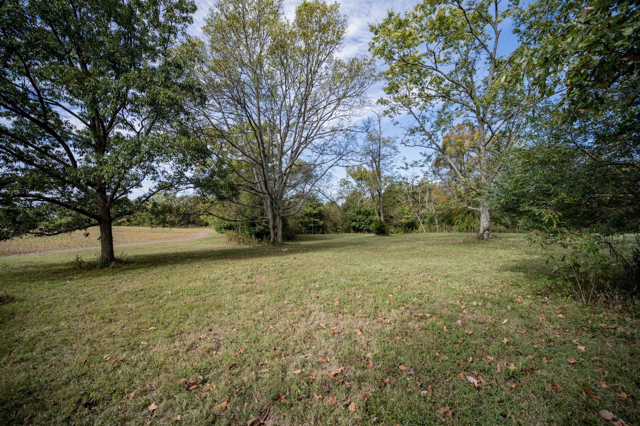 145 Crenshaw Road Bethpage, TN 37022 - Photo 37 of 44 a view of outdoor space with trees