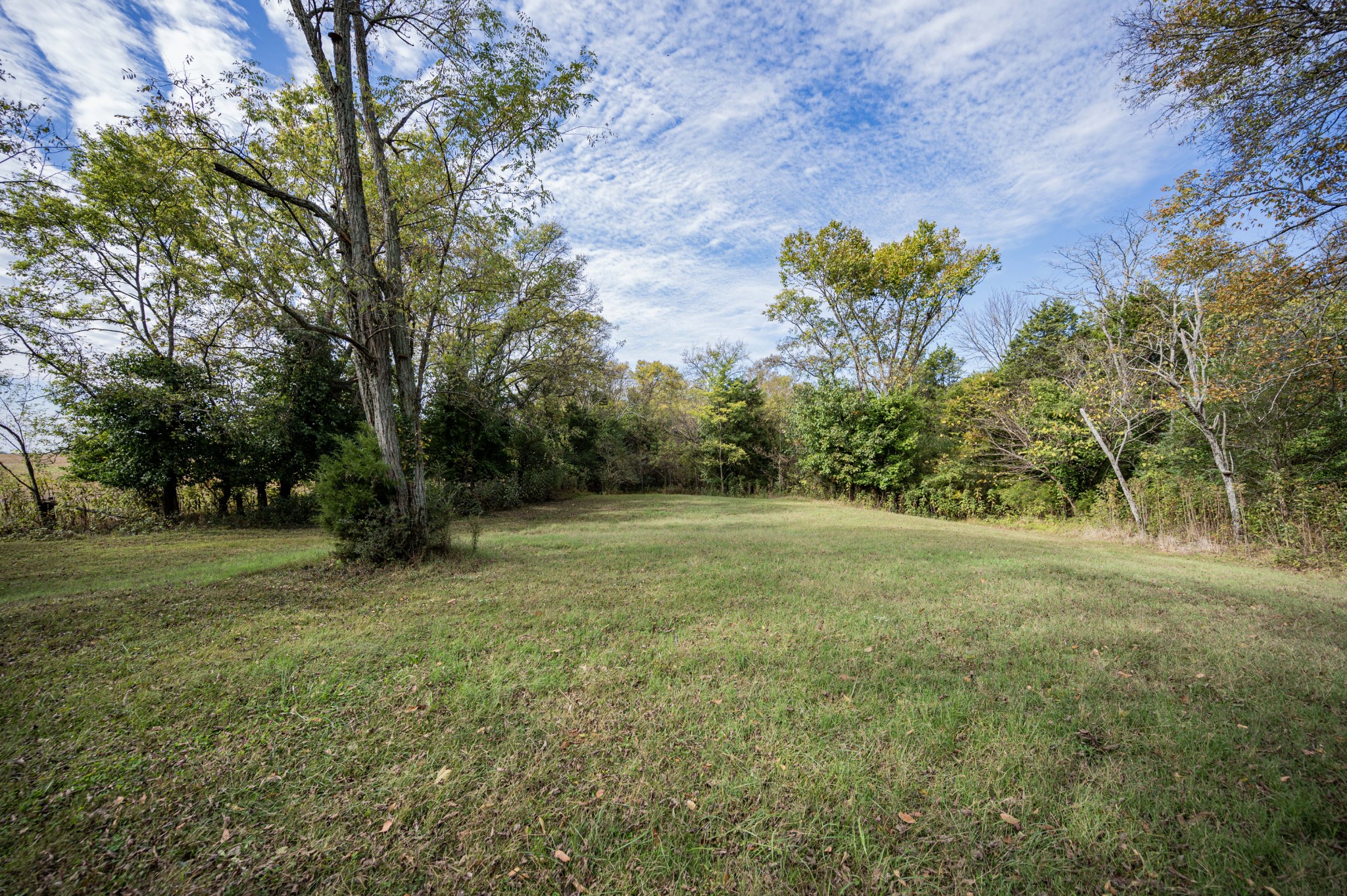 145 Crenshaw Road Bethpage, TN 37022 - Photo 38 of 44 a view of a field with a tree