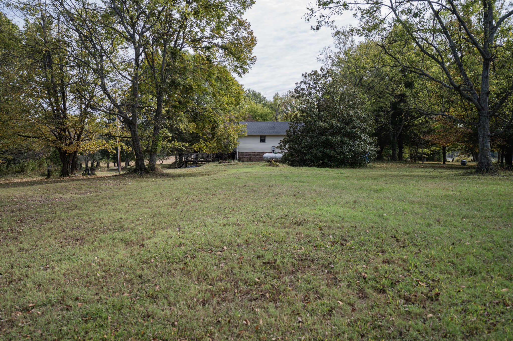 145 Crenshaw Road Bethpage, TN 37022 - Photo 39 of 44 a view of a yard with a trees