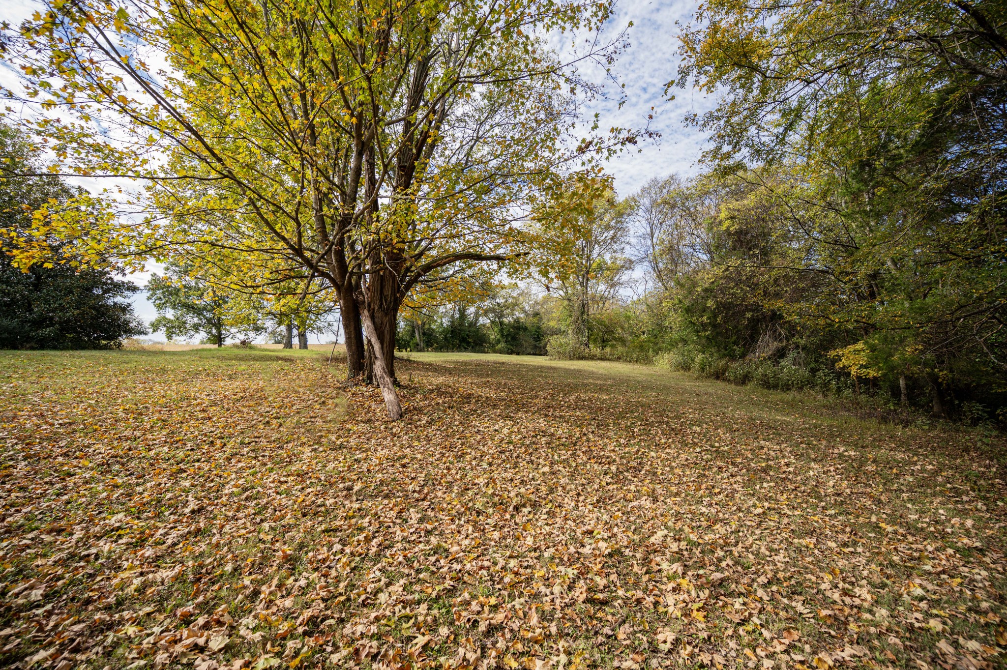 145 Crenshaw Road Bethpage, TN 37022 - Photo 40 of 44 a view of outdoor space with deck and yard
