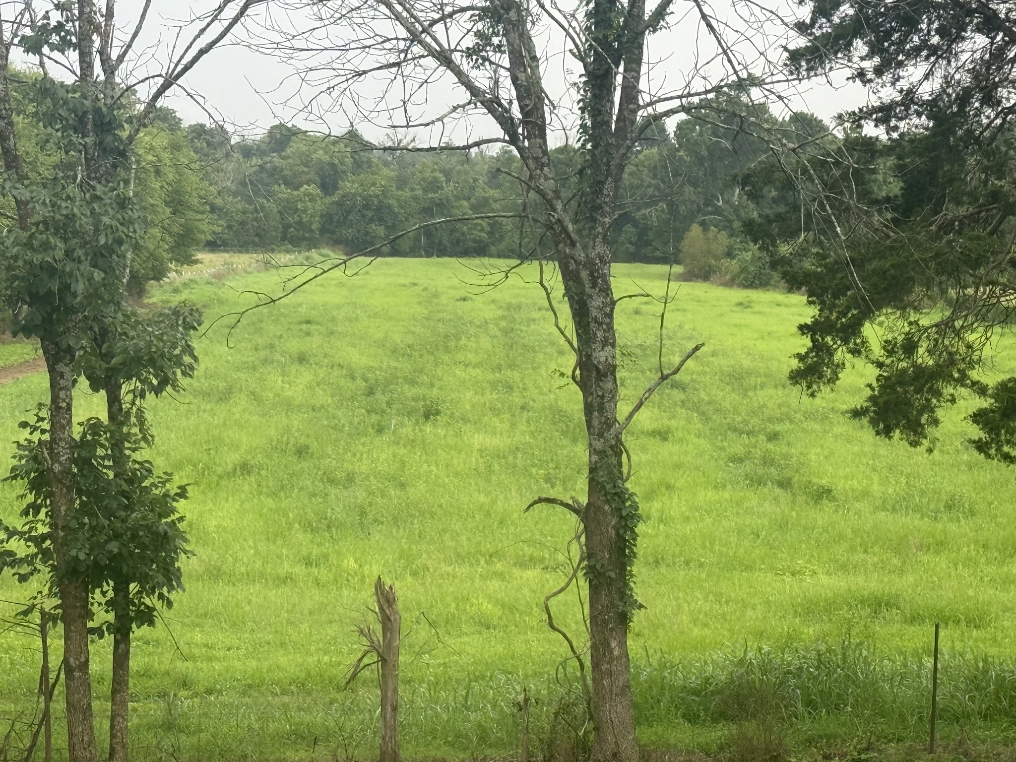 0 Burford Road Lebanon, TN 37087 - Photo 8 of 9