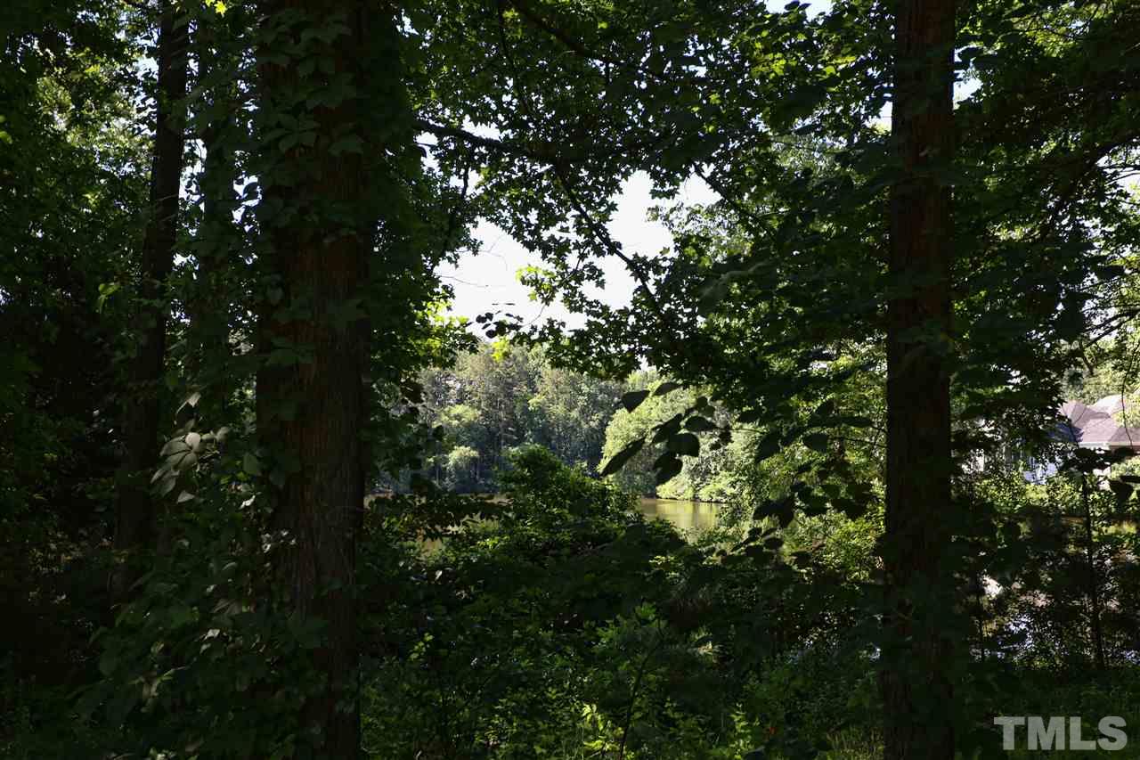 1809 Albacore Lane Raleigh, NC 27612 - Photo 24 of 25 a view of tree