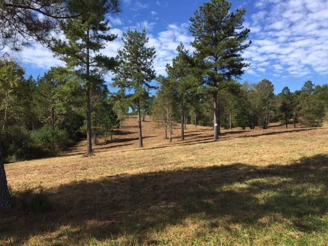 8 Ward Road Loudon, TN 37774 - Photo 2 of 8
