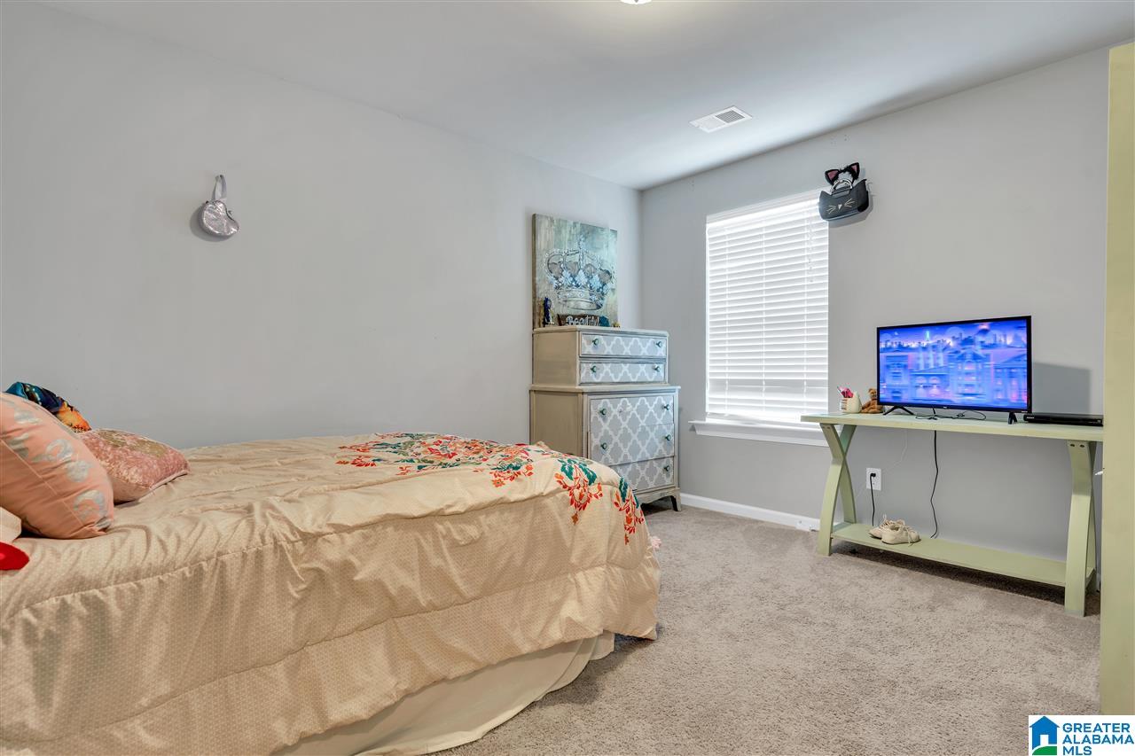 554 Chelsea Station Circle Chelsea, AL 35043 - Photo 24 of 35