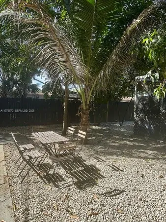 a view of a yard with plants and a large tree