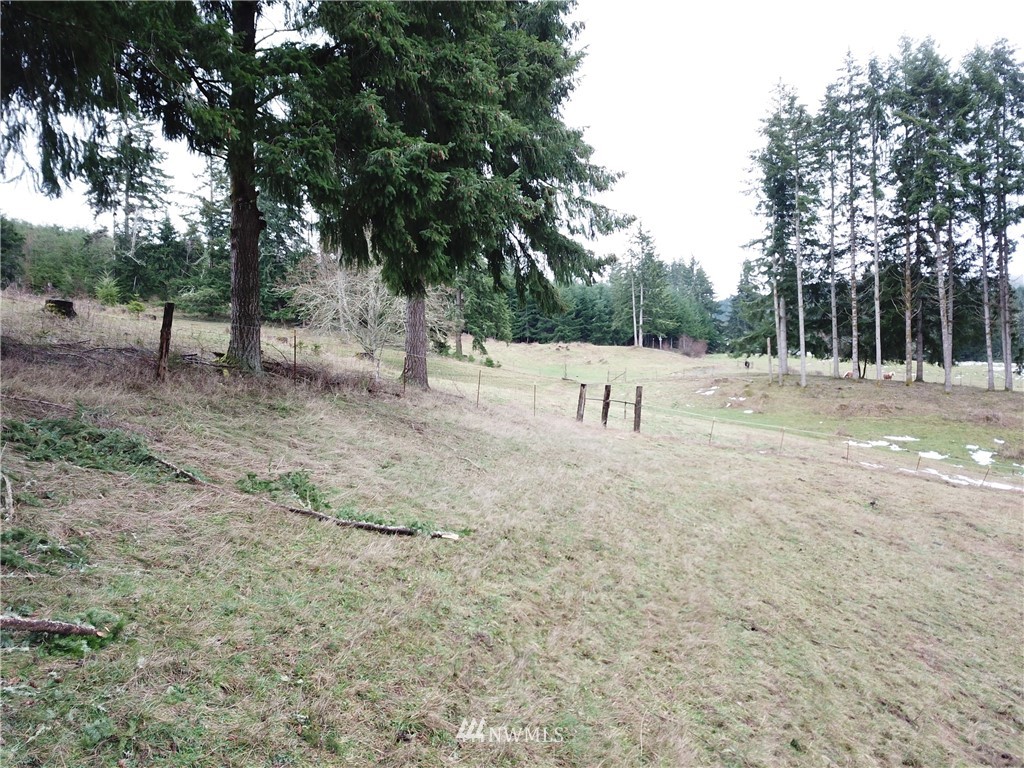 12625 211th Avenue Southwest Rochester, WA 98579 - Photo 7 of 40