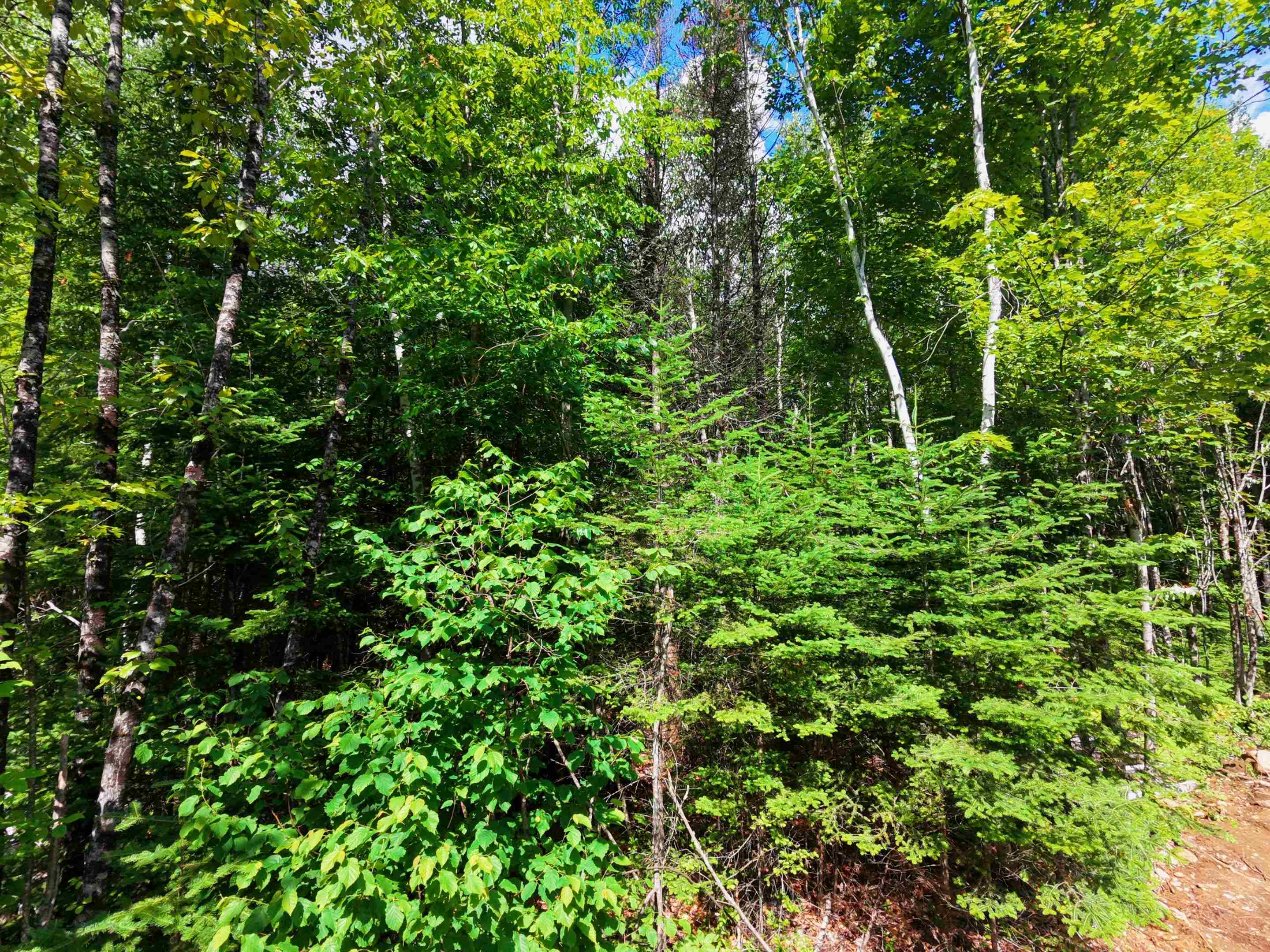 -- Oregon Road Concord, VT 05824 - Photo 6 of 27