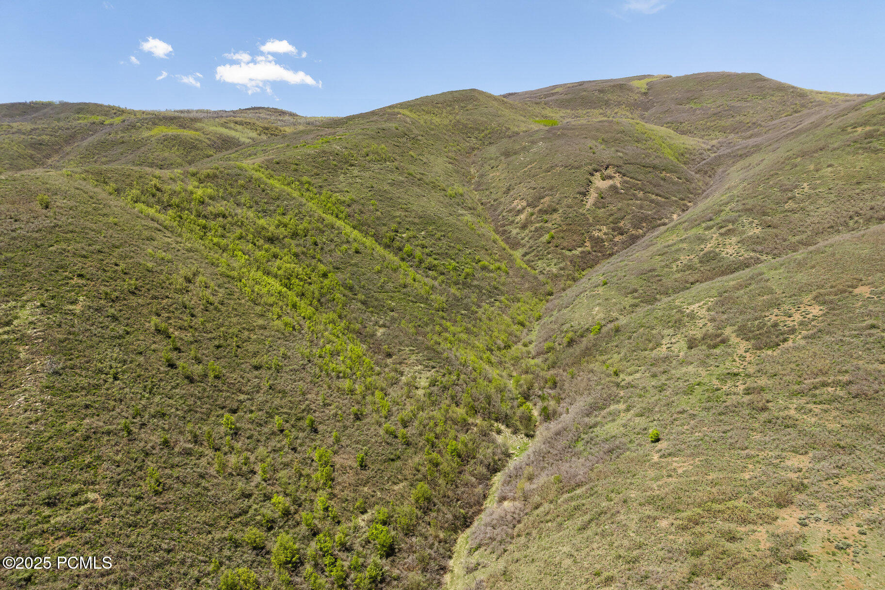 978 South Upland Loop Midway, UT 84049 - Photo 9 of 21