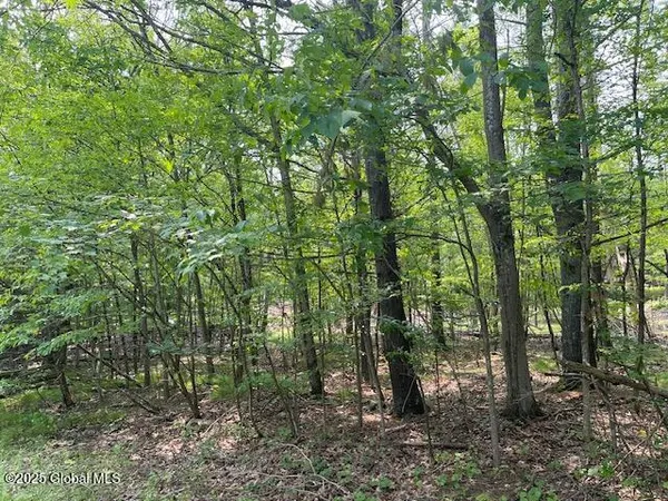 $125,000 | 145 Frank Hitchcock Road, Cairo, NY 12413