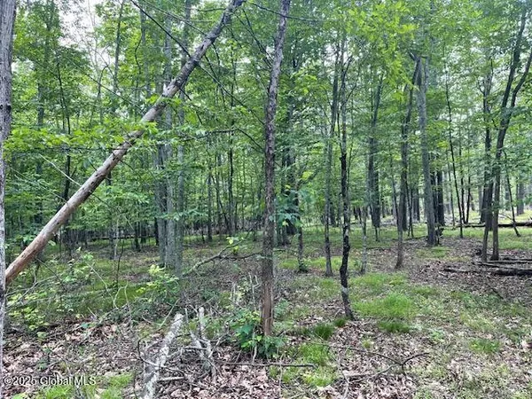 $125,000 | 145 Frank Hitchcock Road, Cairo, NY 12413