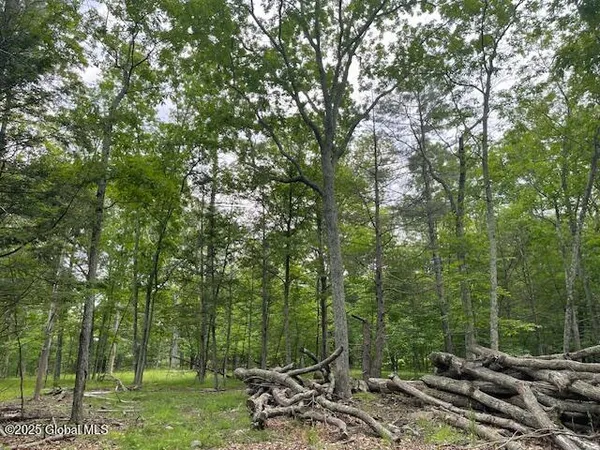 $125,000 | 145 Frank Hitchcock Road, Cairo, NY 12413
