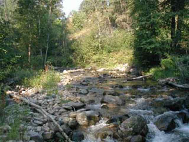 0 Murphy Road Kettle Falls, WA 99141 - Photo 2 of 8 Gallery Image 2